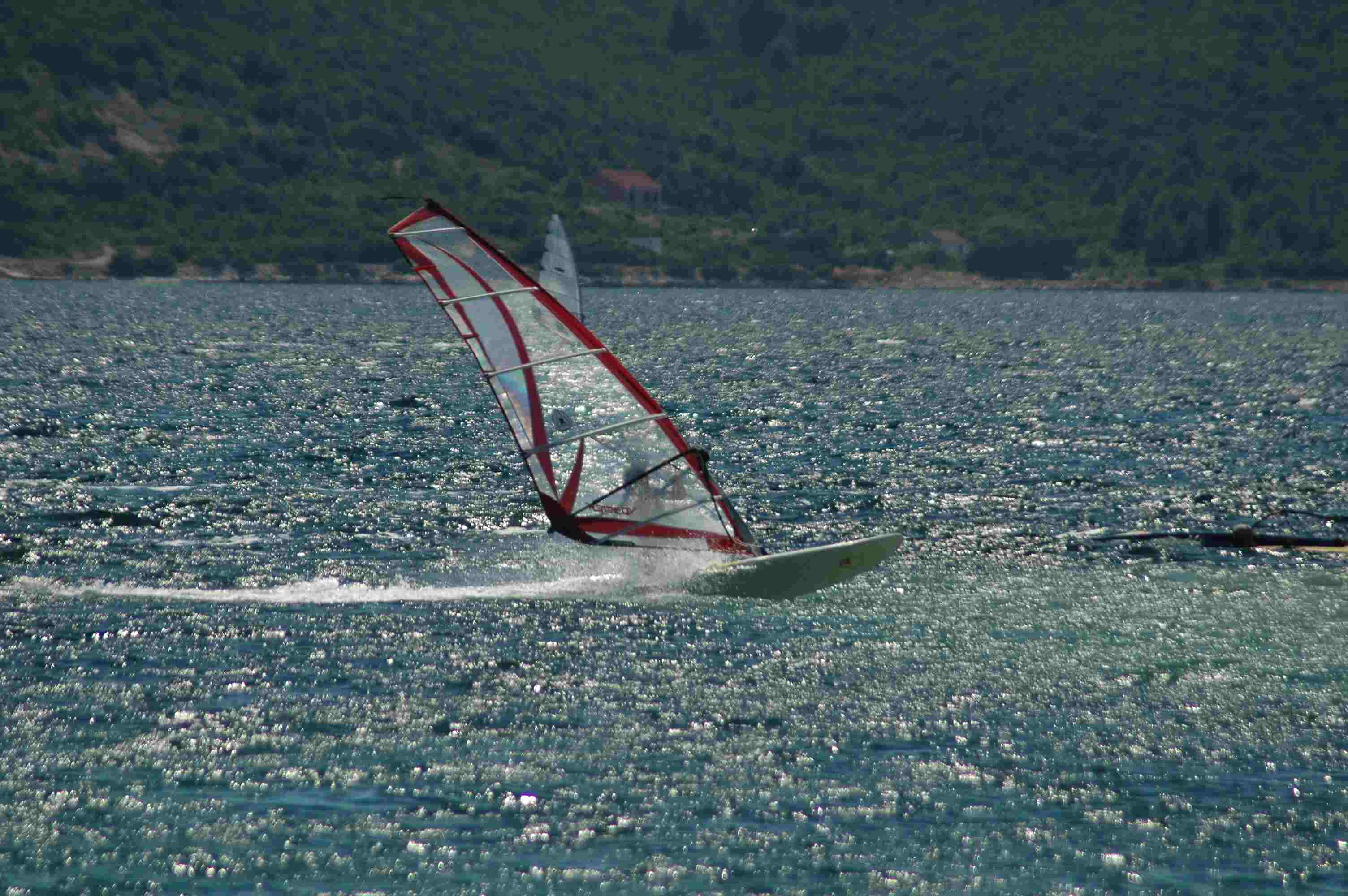 DSC_0465.jpg